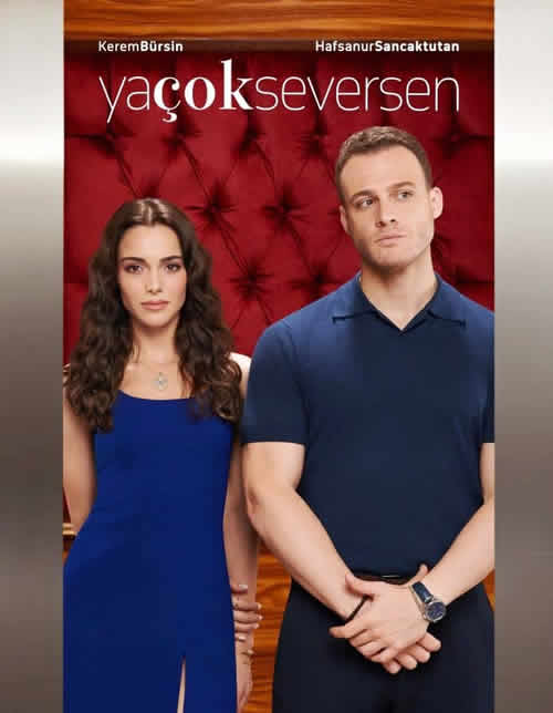 YA COK SEVERSEN, Amami Sempre